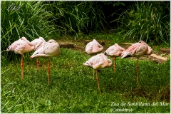 Santillana del Mar. Zoo.