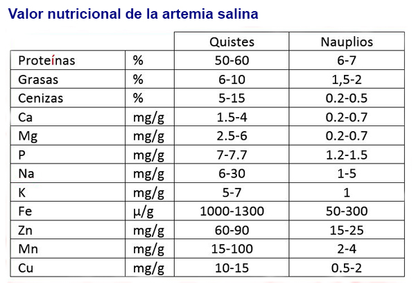 Artemia-16