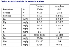Artemia-16