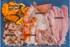 Papilla casera