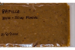 Papilla casera