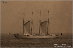 CREOULA - Portugal, Tall Ships Race. Coruña 2016