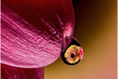 Gotas de colores