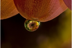 Gotas de colores