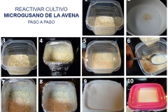 Microgusano de la avena
