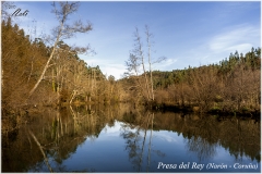 Presa del Rey