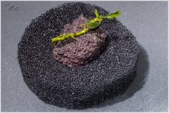Prueba emergido Bucephalandra