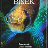 BISEK-120
