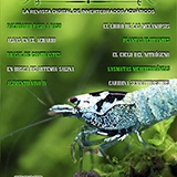 CRUSTANEWS-10